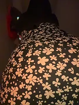 دردشة zahra_Jalid الجنسية المباشرة