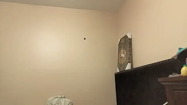 hailzeffn's Webcam Show