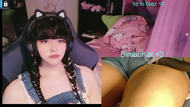 BimboCat Obrolan Langsung XXX