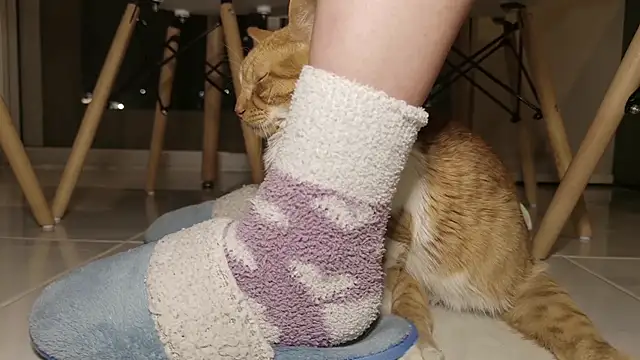 Feetbeth's Live XXX Chat