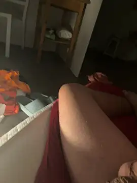 Johangrunnn Webbikameraesitys