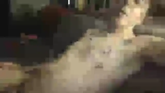 SHARPSkinhead's Webcam Show
