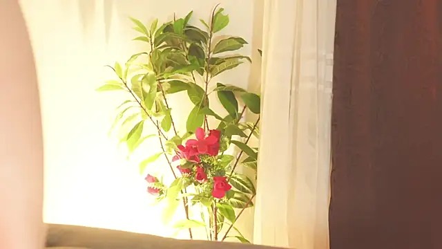 צ'אט XXX בשידור חי של LorenRosse