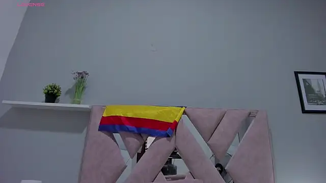 Chat XXX en directo de Eva-Millss