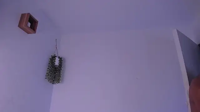 Dante_Fire_ élő XXX-chatje
