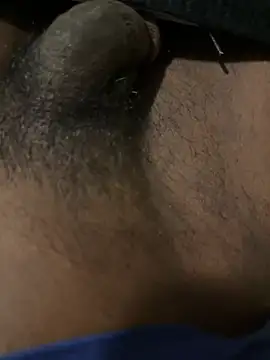 dingoding Chat XXX in diretta