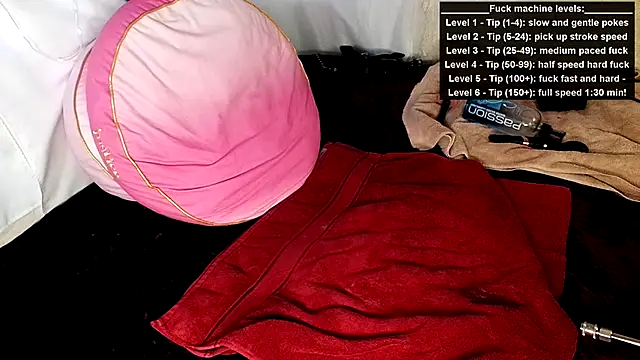 GamerGirlRoxyAndLee 라이브 XXX 채팅
