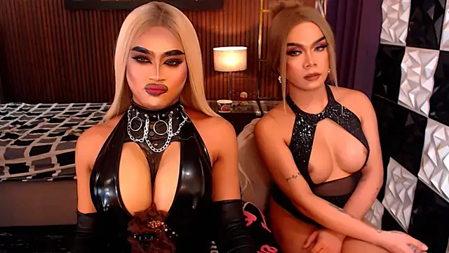Chat XXX Live StellaPerkins