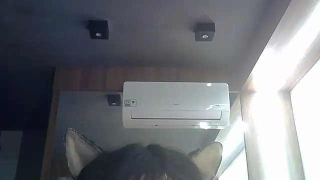 Show de webcam de SkinnyKitten
