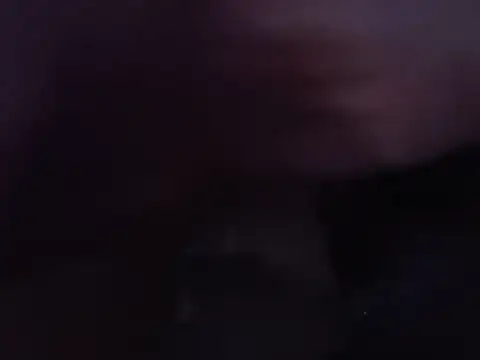 Hoyito_nvo1 webcam show
