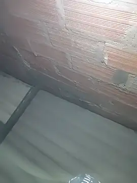 surivec webkamerás műsora
