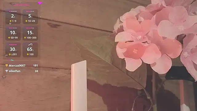 vickvalencia2 라이브 XXX 채팅