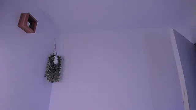 Dante_Fire_ élő XXX-chatje