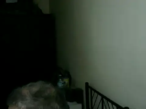 100Tauros Show in webcam