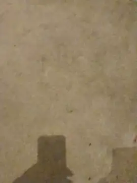 leerussellghost webcam show