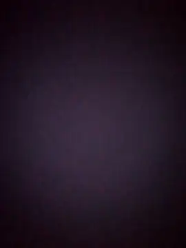 DigCrok 웹캠 쇼