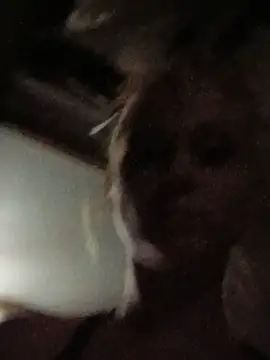 Queen2454 라이브 XXX 채팅