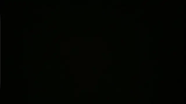 BROsister Webcam show