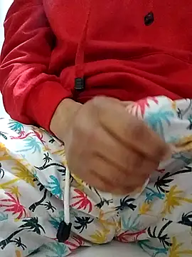Bigote_Big0357のウェブカメラショー