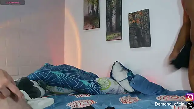 DEMOND_333 Show Webcam