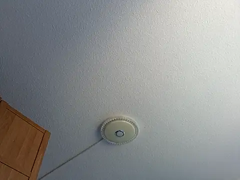 dlosexyhann Show Webcam