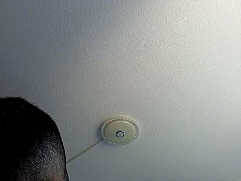 dlosexyhann webcam show