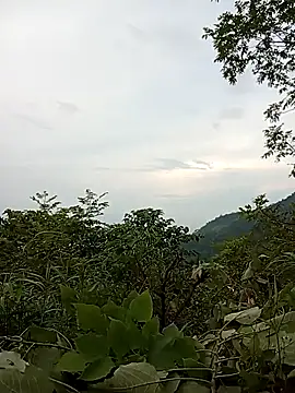 Chat XXX ao vivo de Ama-ra
