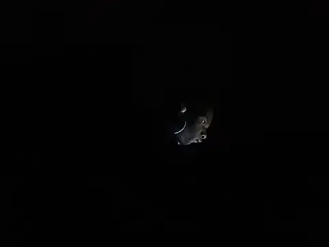 Blkstylion Show in webcam