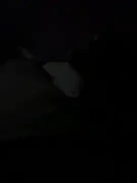 عرض كام Your_daddy_544
