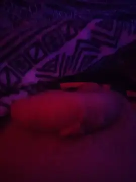 PitudoWuero Webcam-Show