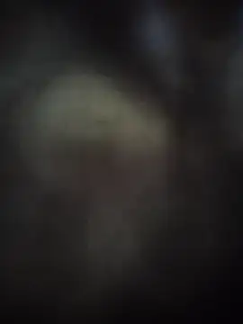 XXX chat uživo modela Juliemstoma