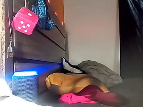 LusciousKandy élő XXX-chatje