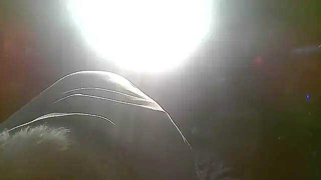 Makowboy élő XXX-chatje