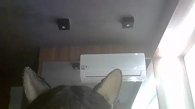 Show de webcam de SkinnyKitten