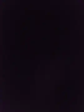 LanguidRunaboutn Live XXX chat