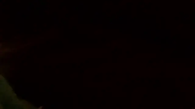 Show de webcam de mmowog