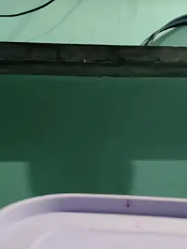 RAYI_Queen_4のライブXXXチャット