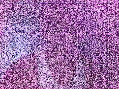 Show Webcam de elturcudito