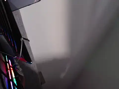 FleshlightFan Webcam-Show