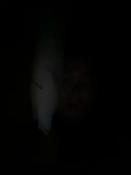 צ'אט XXX בשידור חי של Thu_yaha