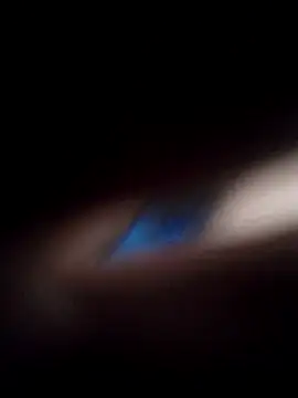 Chat XXX en directo de Rizzodan00
