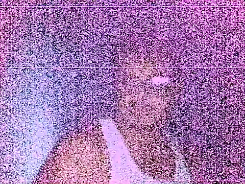 elturcudito Webcamshow
