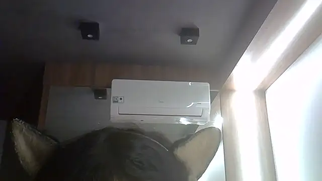 Show de SkinnyKitten na webcam