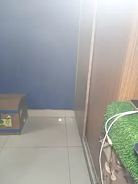 Sexy_Anshika Obrolan Langsung XXX