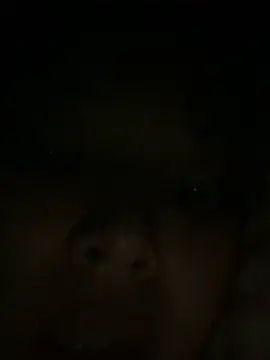 Suzu_xx01 라이브 XXX 채팅