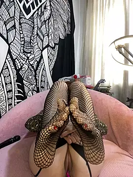 Czat XXX na żywo – Boonny_Boo-