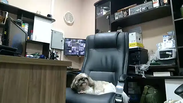 Živý XXX chat Kellynha_Sweet