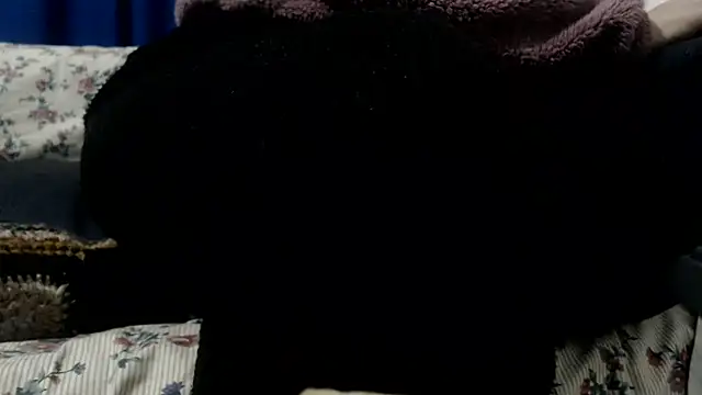 SofiEsteves Live XXX Chat