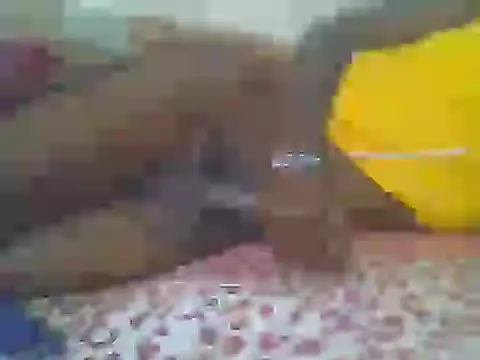 Chat XXX ao vivo de noella23123