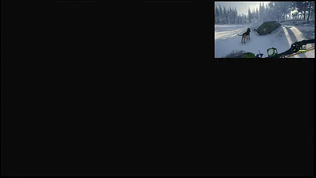 Chat XXX ao vivo de bear8t